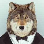 La fuerza de la Manada es el Lobo... y la fuerza del Lobo es su Manada...