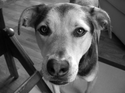 csarchitect's profile picture. Professional Architect making any size home or office yours by designing storage closets to entirely new houses.