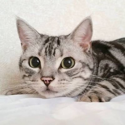 神崎隆二 Myg0hyvjpqvzrjk Twitter 神崎隆二 Myg0hyvjpqvzrjk Twitter
