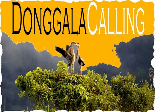 DonggalaCalling's profile picture. all of about music & entertainment;
1. record label
2. artis management
3. event organizer
4. studio
5. publisher
6. merchandiser