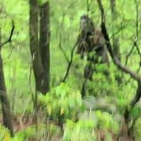 s1961 (@steve44910435) 's Twitter Profile