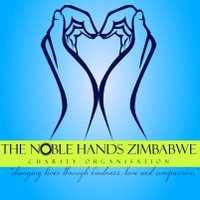 The Noble Hands Zimbabwe(@TNHZ_Trust) 's Twitter Profile Photo