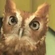 Concerned observer of world events. History, Politics, Economics, Sociology and Education. Retired from multiple careers.