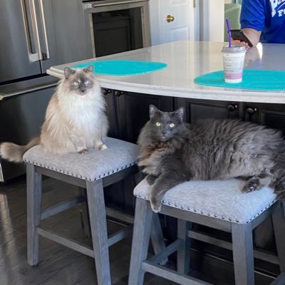 NYCteach3's profile picture. 