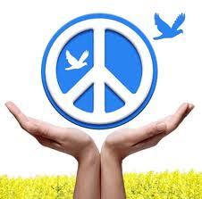 shewicho's profile picture. 