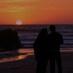 Flo & Kevin Parsons (@olivetree_stm) Twitter profile photo Flo & Kevin Parsons (@olivetree_stm) Twitter profile photo