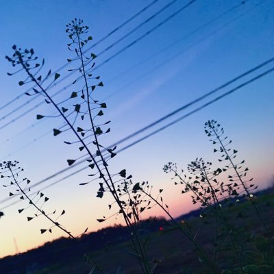 ゆらぎらぎsubさんのプロフィール画像