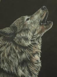 reprobatespirit's profile picture. Dedicated to getting blaspemous tithe-hungry false profit, terrorist and putlic enemy Daniel John Lee the public attention he deserves.