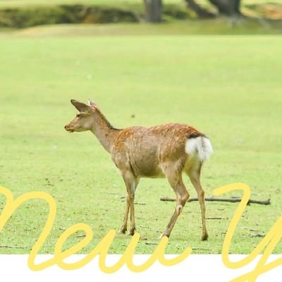 不妊治療経験からできるだけ自然派*子どもたちを犠牲にするやりすぎ感染対策はいらない😇
ドラマ・アニメのつぶやきも多め
地方移住&自然農に向けて
