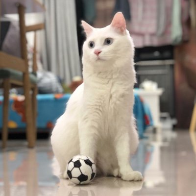 2hou2hou's profile picture. 个人成长，认知感悟，投资相关。   公众号：质数人生 博客：https://t.co/31aMErimTa