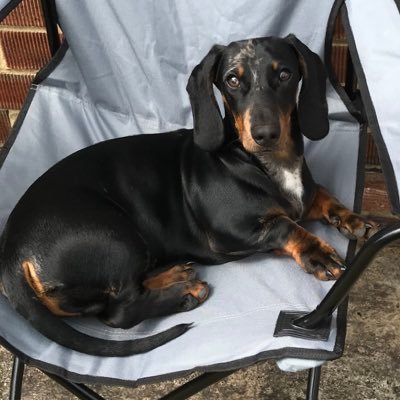 JackRiv25579156's profile picture. 