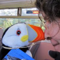 Ruth Meyer (@fraterculaphile) 's Twitter Profile Photo Ruth Meyer (@fraterculaphile) 's Twitter Profile Photo