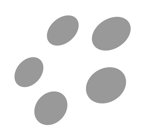 bellusphotofilm's profile picture. Photography.  Cinematography.  Storytelling.