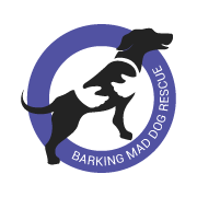 Barking Mad Dog Rescue(@BMDRdogs) 's Twitter Profile Photo