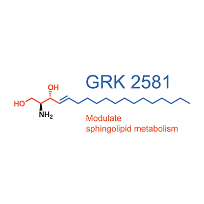 The official Twitter account for Research Training Group 2581. Dive into sphingolipid metabolism with us.