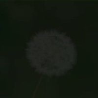 Toaster15 (@fridgemagnet15) 's Twitter Profile