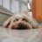 Evone__23