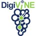 Experimentierfeld DigiVine (@digi_vine) Twitter profile photo