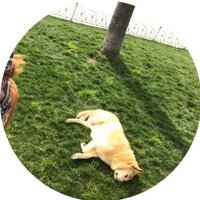 Hüda (@hudadicle) 's Twitter Profile