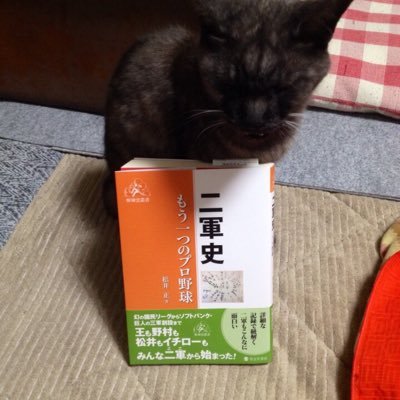 登録してから全く使っていませんでしたが、今後使っていこうと思います。 野球史の研究をしています。主に二軍のことを調べていて、2017年に「二軍史」という書籍を出版しました。今後の目標は二軍の記録集を作成すること。