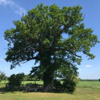 My Daughters Earth (@mydaughtrsearth) 's Twitter Profile