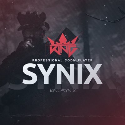 _iSynix's profile picture. CODM player for Kings