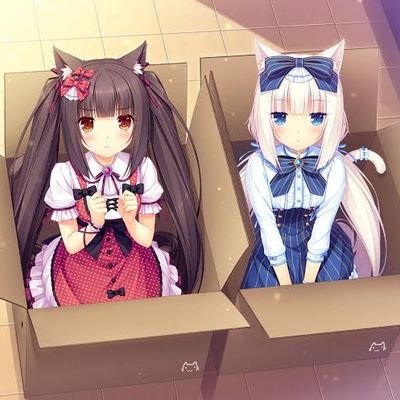 陽風さんのプロフィール画像