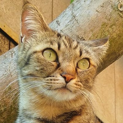 GLsp2020ptsmさんのプロフィール画像