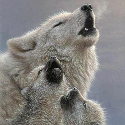 DailyZombieUk's profile picture. Bit Weird