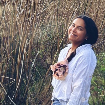 consumanosalba's profile picture. Prof. Educación especial - Neurosicoeducadora - Diplomada en infancias y juventudes - Magíster en Docencia Universitaria - Dra. en educación