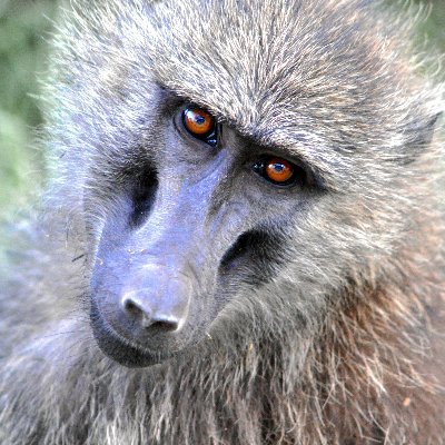 morgad2301's profile picture. 