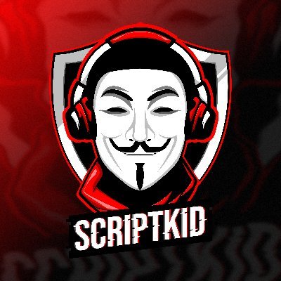 ScriptKidHacks Profile Picture