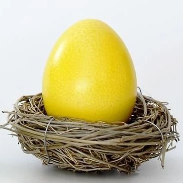 meltyool's profile picture. 커미션 신청용 계정. 맘찍 위주 조용히 읽어요