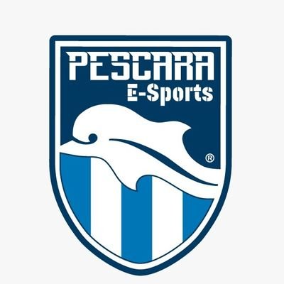 Official Twitter account of @PescaraCalcio eSports 🐬🎮⚽ // Currently in @Lega_B #BeSports // Official Partner: @PESTeam_it // Hashtag #PescaraESports