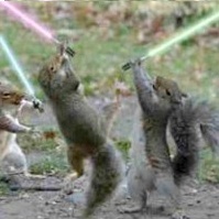 wits_end's profile picture. We buried all the pieces we could find.