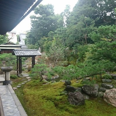 MATSU_さんのプロフィール画像