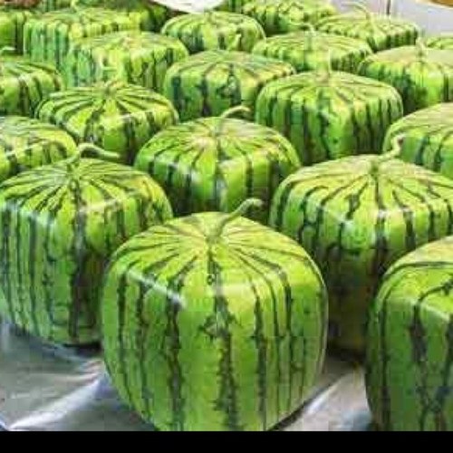 bymyntivart's profile picture. ...nothing more fascinating than plugging in to the world! Who needs reality shows when you have twitter!