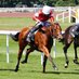 EVEREST RACING (@everest_racing) Twitter profile photo EVEREST RACING (@everest_racing) Twitter profile photo