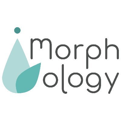 Morphology Visuals is a biomedical communications company. © Morphology LLC 2021