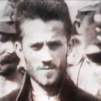 BatoTodorovic's profile picture. kako TANJUG javlja