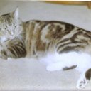 Elizabeth Block - @1997Pontiac - Twitter