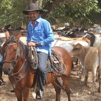 Wilmer Rodríguez (@wilmerodriguezv) 's Twitter Profile