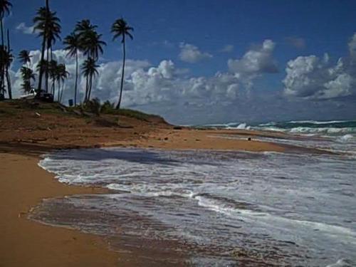 filmmakerjoe's profile picture. . ball breaker, bad mouth insensitive joker.