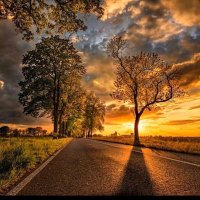 غالي (@mohad3231) 's Twitter Profile