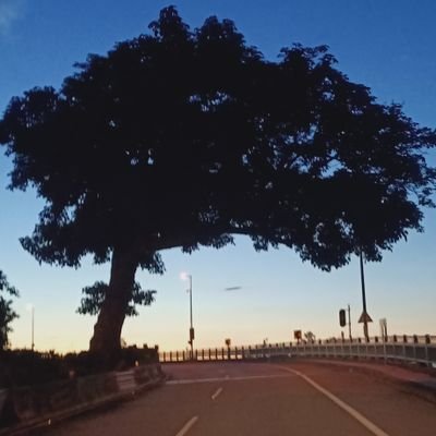 vuZu3o0cMTyErks's profile picture. Taiwan for fun