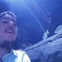 Dobrik Georgiev (@dobrikg) 's Twitter Profile Photo Dobrik Georgiev (@dobrikg) 's Twitter Profile Photo