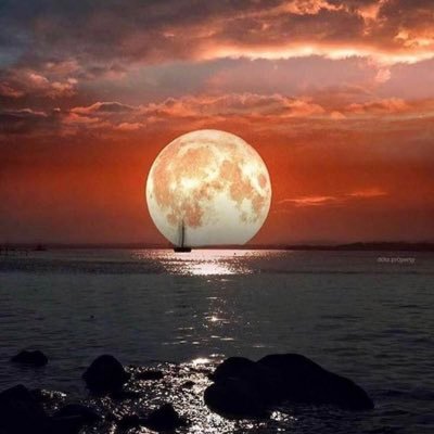 BouchibSaida's profile picture. Directrice Commerciale