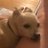 thehouseofmiel's avatar