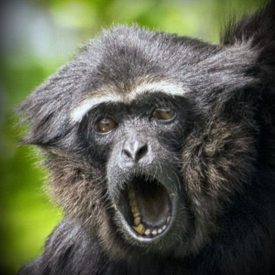 fbarry13's profile picture. 🇮🇪 Traditional Centrist, likes fair play..my thoughts are my own.. Pro direct democracy