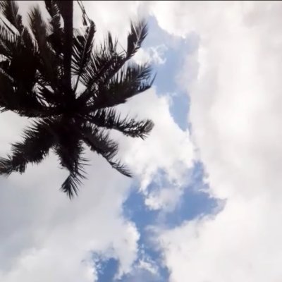 SindyKind's profile picture. 